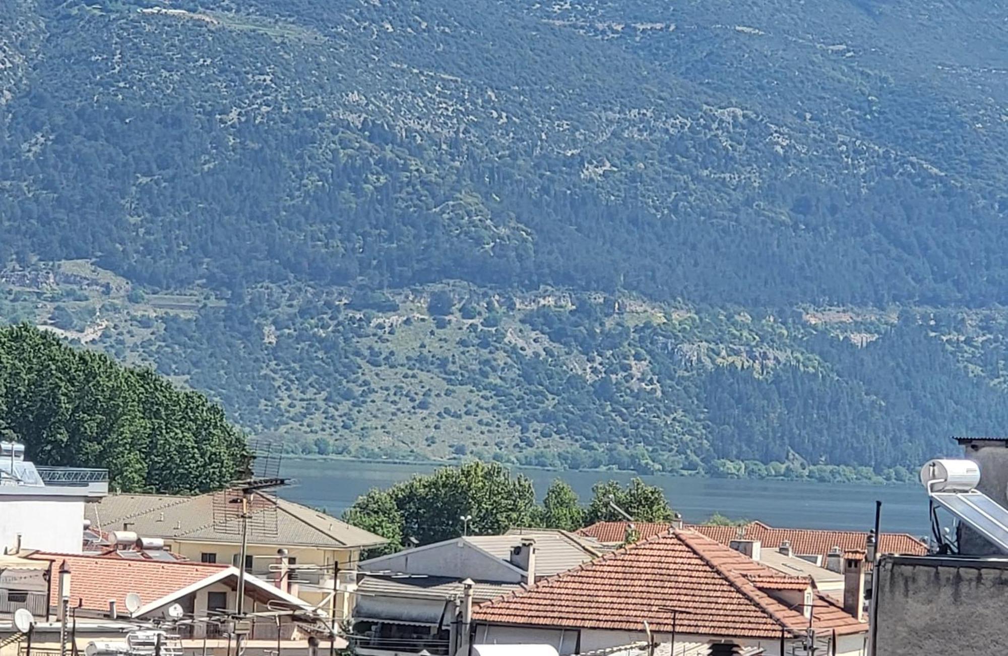 Platanakia Houses Ιωάννινα Δωμάτιο φωτογραφία